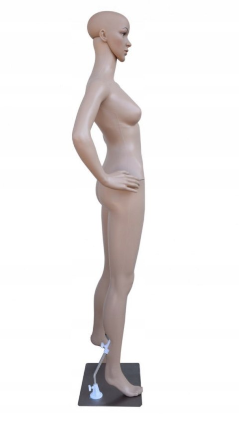 Manekin DAMSKI Pełnopostaciowy Wystawowy 175cm Kobiecy