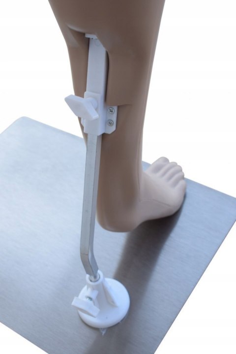 Manekin DAMSKI Pełnopostaciowy Wystawowy 175cm Kobiecy