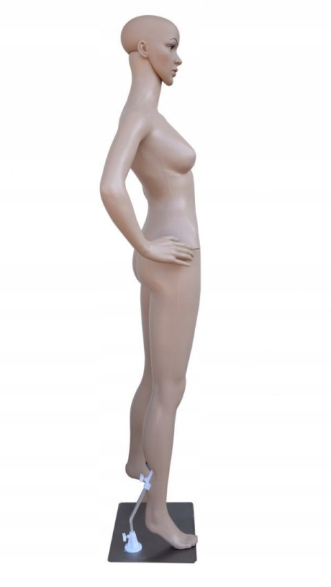 Manekin DAMSKI Pełnopostaciowy Wystawowy 175cm Kobiecy