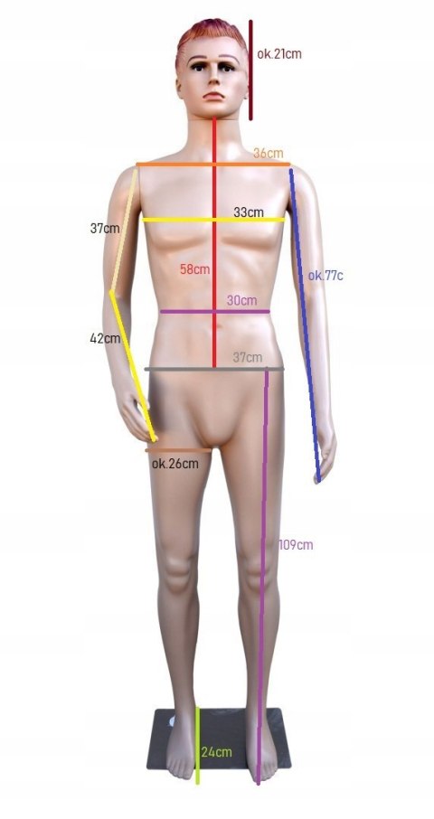 Manekin MĘSKI Pełnopostaciowy Wystawowy 185cm Mężczyzna